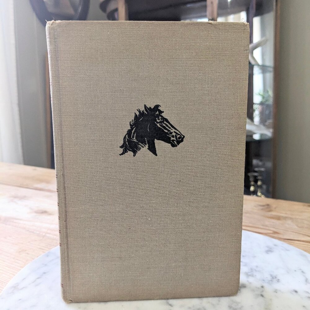 Antique BLACK STALLION  Linen Book ~ Classic Literature